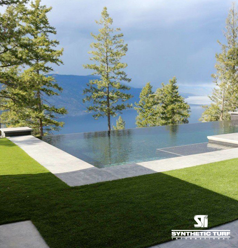 Synthetic Turf International