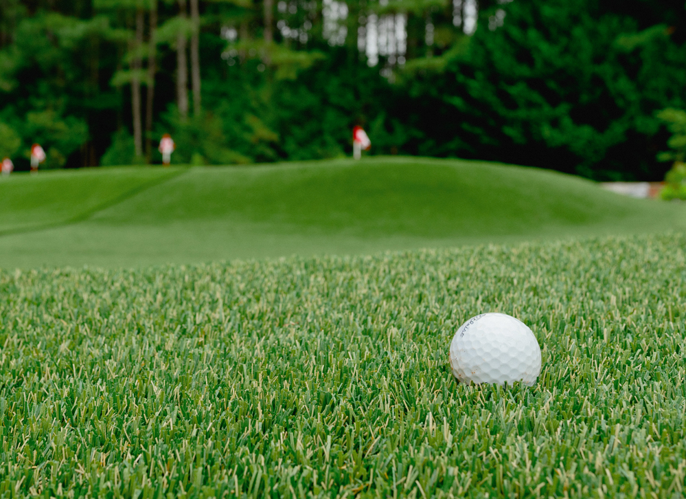 Putting Green turf